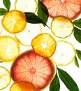 X-ray citrus fruits macro isolated orange lemon grapefruit leaf pattern Royalty Free Stock Photo