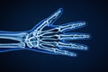 X-ray dorsal or posterior view of right human hand bones with body contours 3D rendering illustration. Skeletal anatomy, osteology Royalty Free Stock Photo