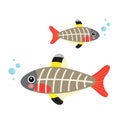 X-ray Fish animal cartoon character vector illustration