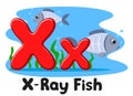 X ray fish letter on a white background. Alphabet for children