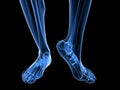 X-ray foot illustration