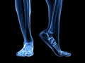 X-ray foot illustration