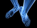 X-ray foot illustration