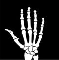 X-ray hand icon on white background. Human hand x-ray scan sign. X Rays Style Human Hand symbol. flat style Royalty Free Stock Photo