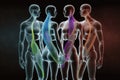 x-ray of human bodies