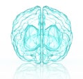 X-ray human brain in blue. Royalty Free Stock Photo