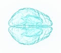 X-ray human brain in blue. Royalty Free Stock Photo