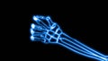 X-Ray of Human Hand Grasping (HD)