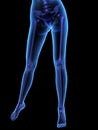 X-ray illustration of female human body and skelet Royalty Free Stock Photo