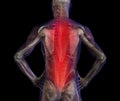 X-ray illustration of male human back pain pain. Royalty Free Stock Photo