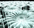 X-ray image of a flower on black , the gebera Royalty Free Stock Photo