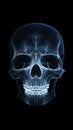 X-ray Image of a Human Skull on Black Background Royalty Free Stock Photo