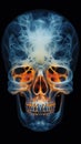 X-ray Image of a Human Skull on Black Background Royalty Free Stock Photo