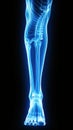 X-ray of legs of a male human, blue tone radiograph on a black background, Ai generative Royalty Free Stock Photo