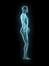 X-ray of man 3d side view blue