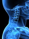 X-ray neck side Royalty Free Stock Photo