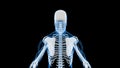 X-Ray Scan of Human Skeleton (HD)