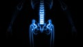 X-Ray Scan of Human Skeleton (HD)