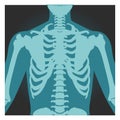 X-ray shot of shoulder, human body bones, radiography, rib cage, chest and arm, vector illustration. Royalty Free Stock Photo