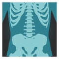 X-ray shot of spinal column, pelvis and rib cage, human body bones, radiography, vector illustration.