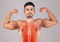 X ray, strong and portrait of a man with muscle isolated on a grey studio background. Spine, anatomy and person showing