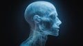 X-Ray Visualization of Human Head and Cervical Spine Royalty Free Stock Photo