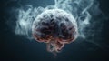 X-rays of the human brain and smoke Royalty Free Stock Photo