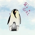 It's a girl penguin card Royalty Free Stock Photo