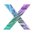 X shape with painted palm leaves in vibrant colors. Royalty Free Stock Photo