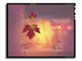 4 x 5 Slide with a fall scene on a white background Royalty Free Stock Photo