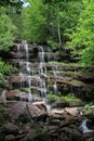 & x22;Tupavica waterfall& x22; location Old mountan eastern Serbia.