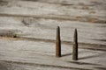7,62 x 54 - two isolated rustic ammos on the wooden background Royalty Free Stock Photo
