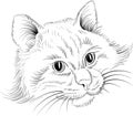 The Vector logo cat for tattoo or T-shirt design or outwear.