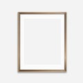 16x20 vertical blank vintage gilded frame
