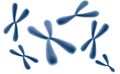 3D rendered illustration of chromosomes. Genetics concept