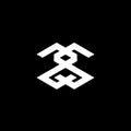 X, zs. sz. zxs, sxz, xss initials geometrical logo and vector icon