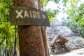 Coba Maya Ruins Xaibe building pyramid in tropical jungle Mexico