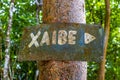 Coba Maya Ruins Xaibe building pyramid in tropical jungle Mexico