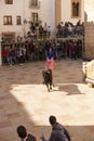 Xavea, SPAIN - January 26, 2020: A bull chases a guy down the street during the celebration of St. Sebastian in front of residents