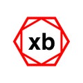 XB hexagon typography monogram. XB lettering icon