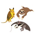 Xenarthra animal cartoon character vector illustration