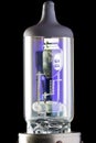 Xenon lamp bulb