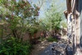 Xeriscaped Desert Style Backyard in Spring Royalty Free Stock Photo