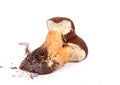 Xerocomus badius twins mushrooms isolated on white Royalty Free Stock Photo