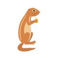 Xerus African ground squirrel holding nut animal cartoon character