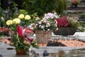 xGraves in the cemetery Wels in autumn, Austria, Europe