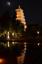 Xi'an Big Wild Goose Pagoda Buddhist Historic Buildings Royalty Free Stock Photo