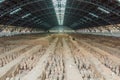 XI'AN, CHINA - AUGUST 6, 2018: View of the Pit 1 of the Army of Terracotta Warriors near Xi'an, Shaanxi province, Chi Royalty Free Stock Photo