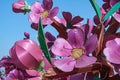 Closeup of pink fake flowers at North Gate on city Wall, Xian, China