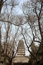 Xian China small wild goose pagoda